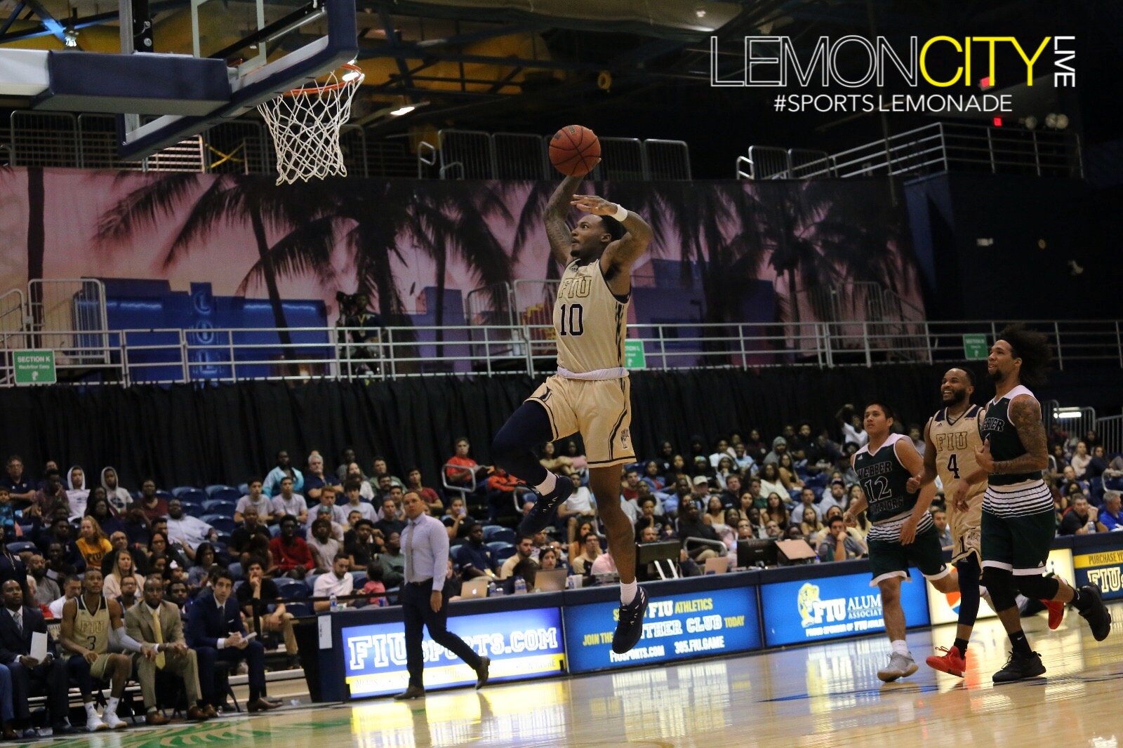 FIU Basketball