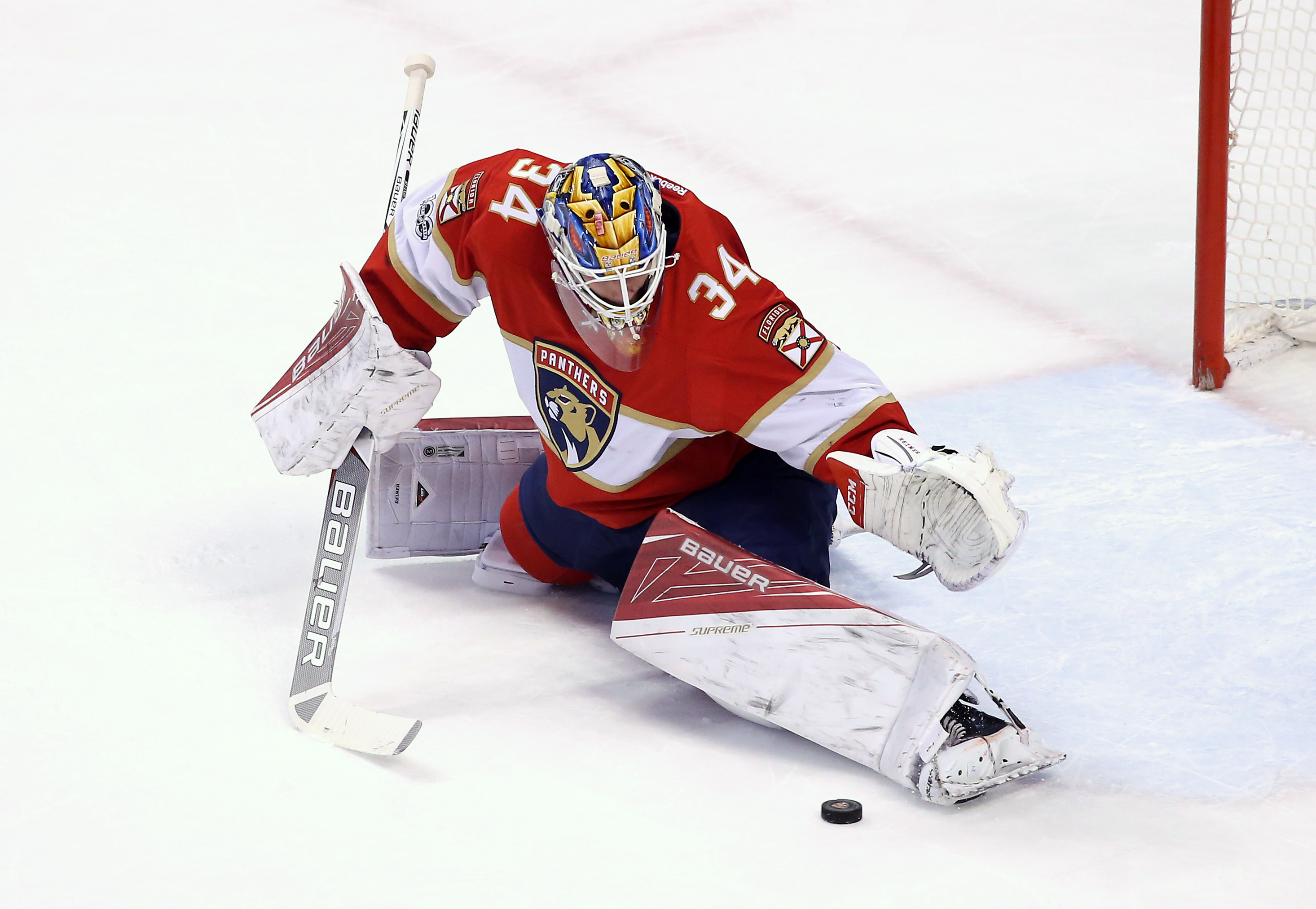 Florida Panthers