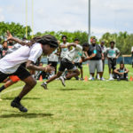 Junior Dolphins program