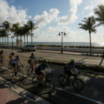 Dolphins Cancer Challenge