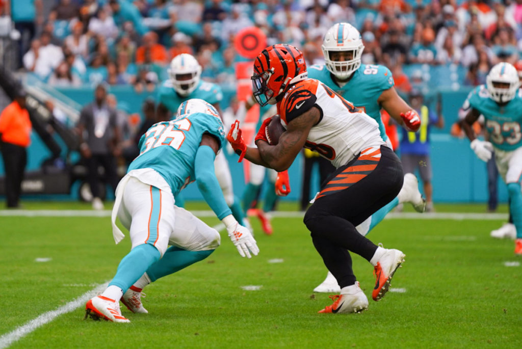 Dolphins won last home game