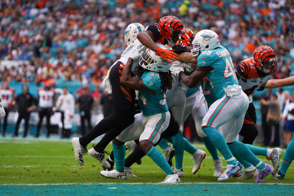 Dolphins won last home game