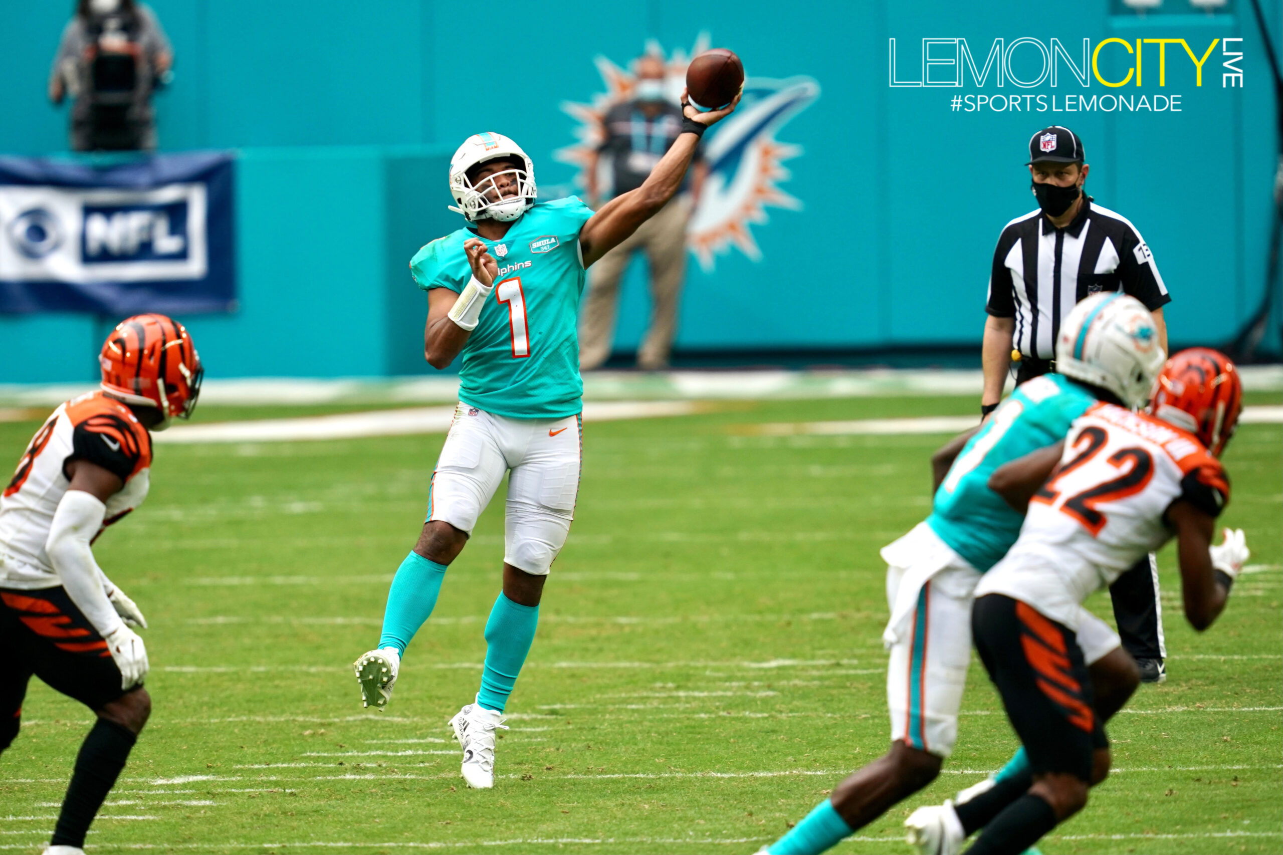 The Miami Dolphins vs Cincinnati Bengals