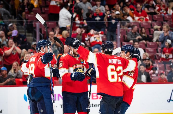 Panthers Senators