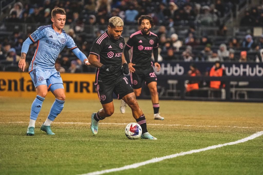 NYCFC Herons