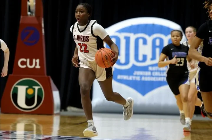 FIU Women's Basketball Signings