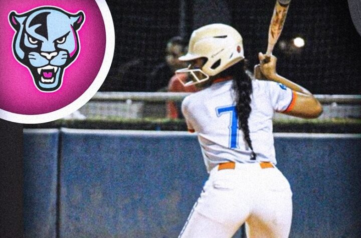 FIU Softball Defensive Standouts