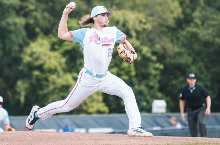 Panthers Lose Rubber Match